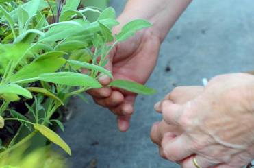 10169439_978263905522751_6410151444369016888_n